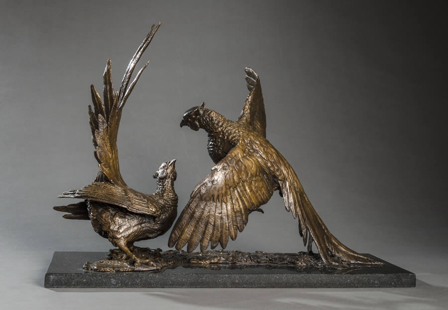 Pheasants Fighting